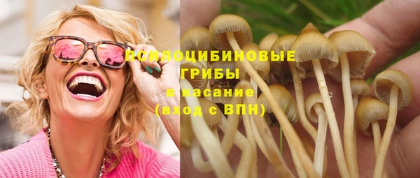 mdma Богородицк