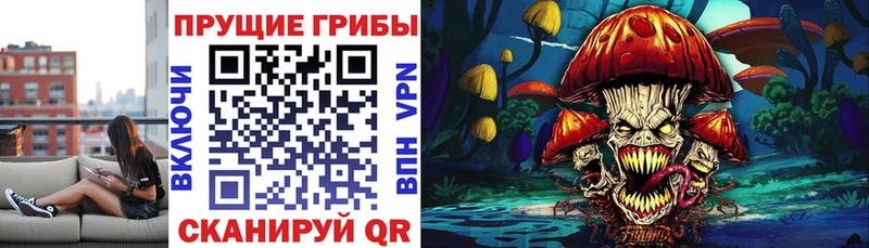 OMG онион  Ковылкино  Галлюциногенные грибы мицелий 