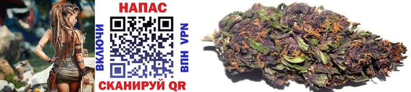 Шишки марихуана SATIVA & INDICA  где найти   Ковылкино 